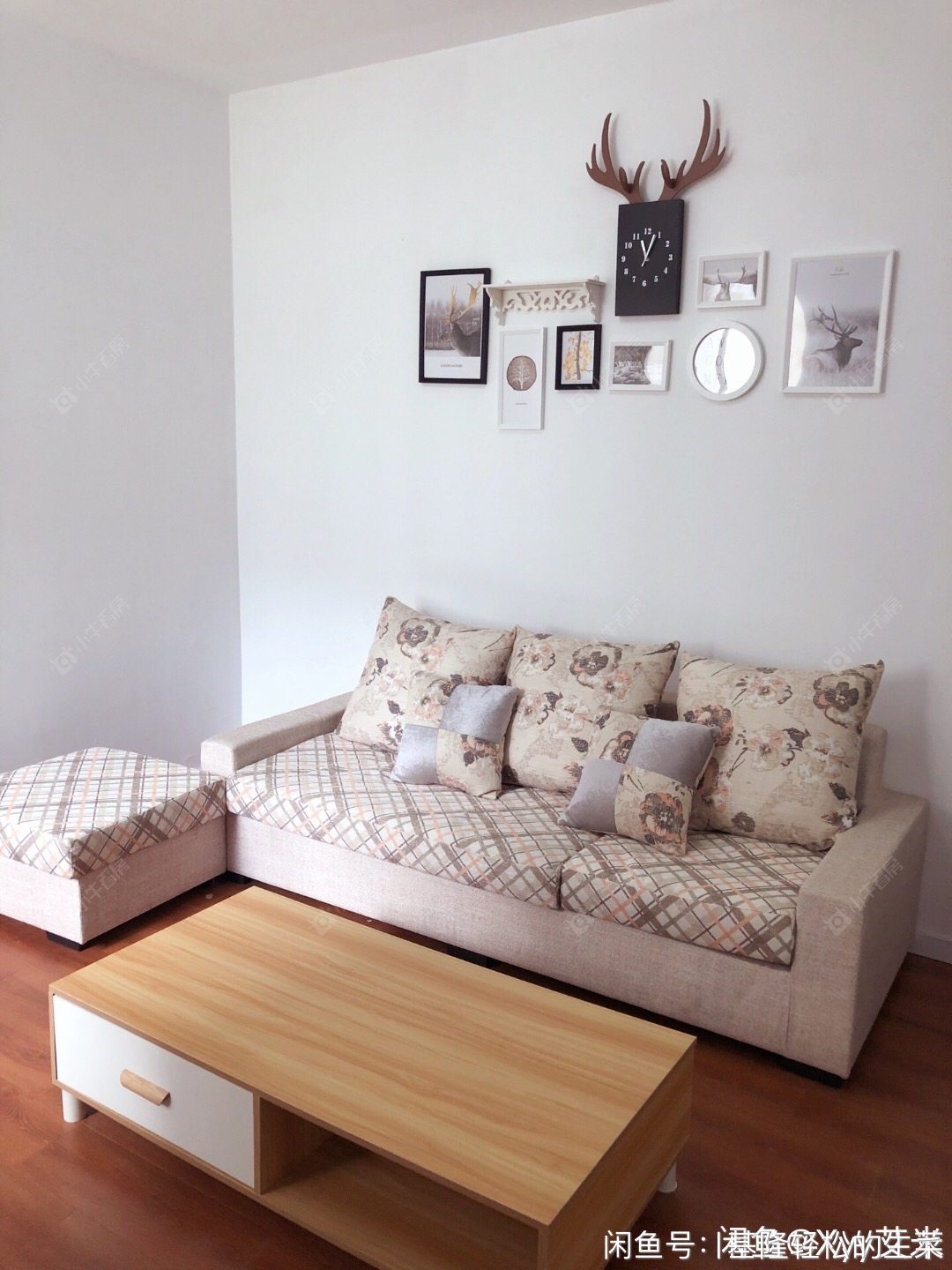 常州青洋花苑租房_小牛看房