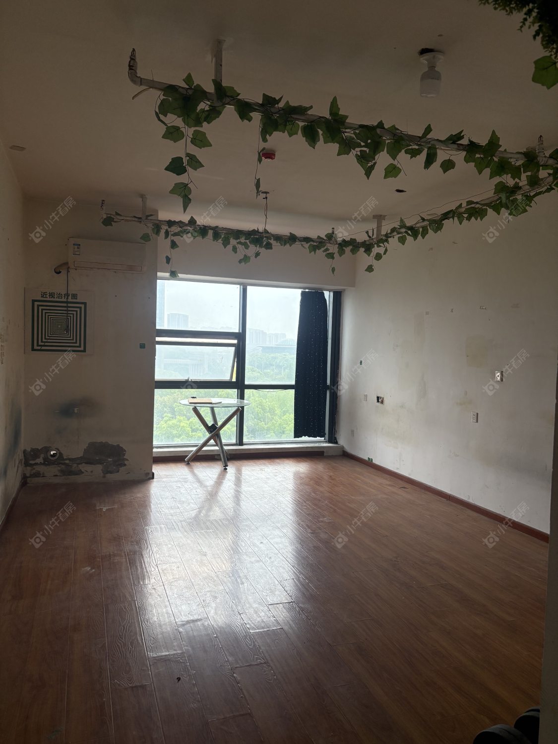 常州典雅商业广场租房_小牛看房