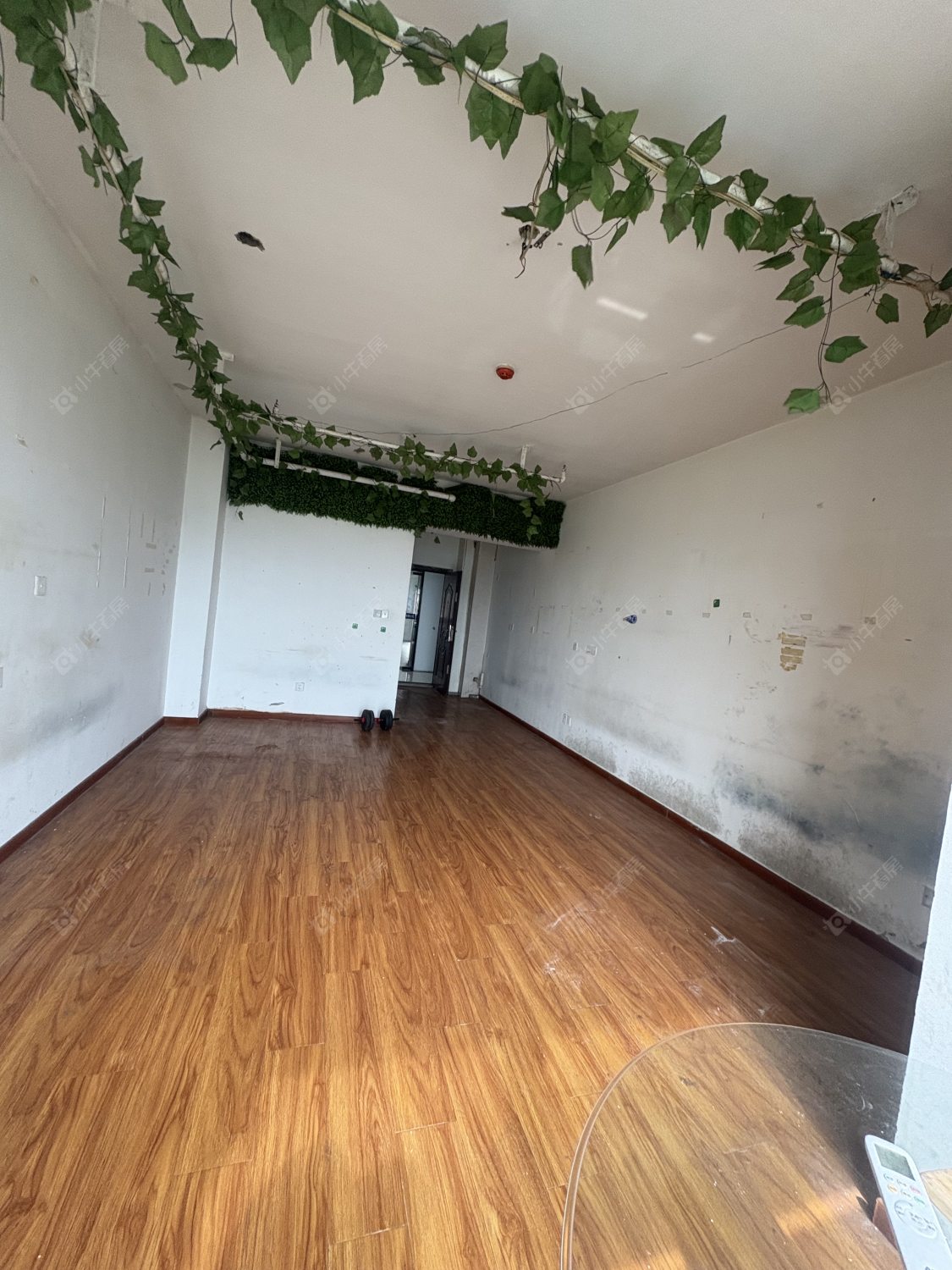 典雅商业广场房源室内图 常州典雅商业广场在租房源室内图_小牛看房