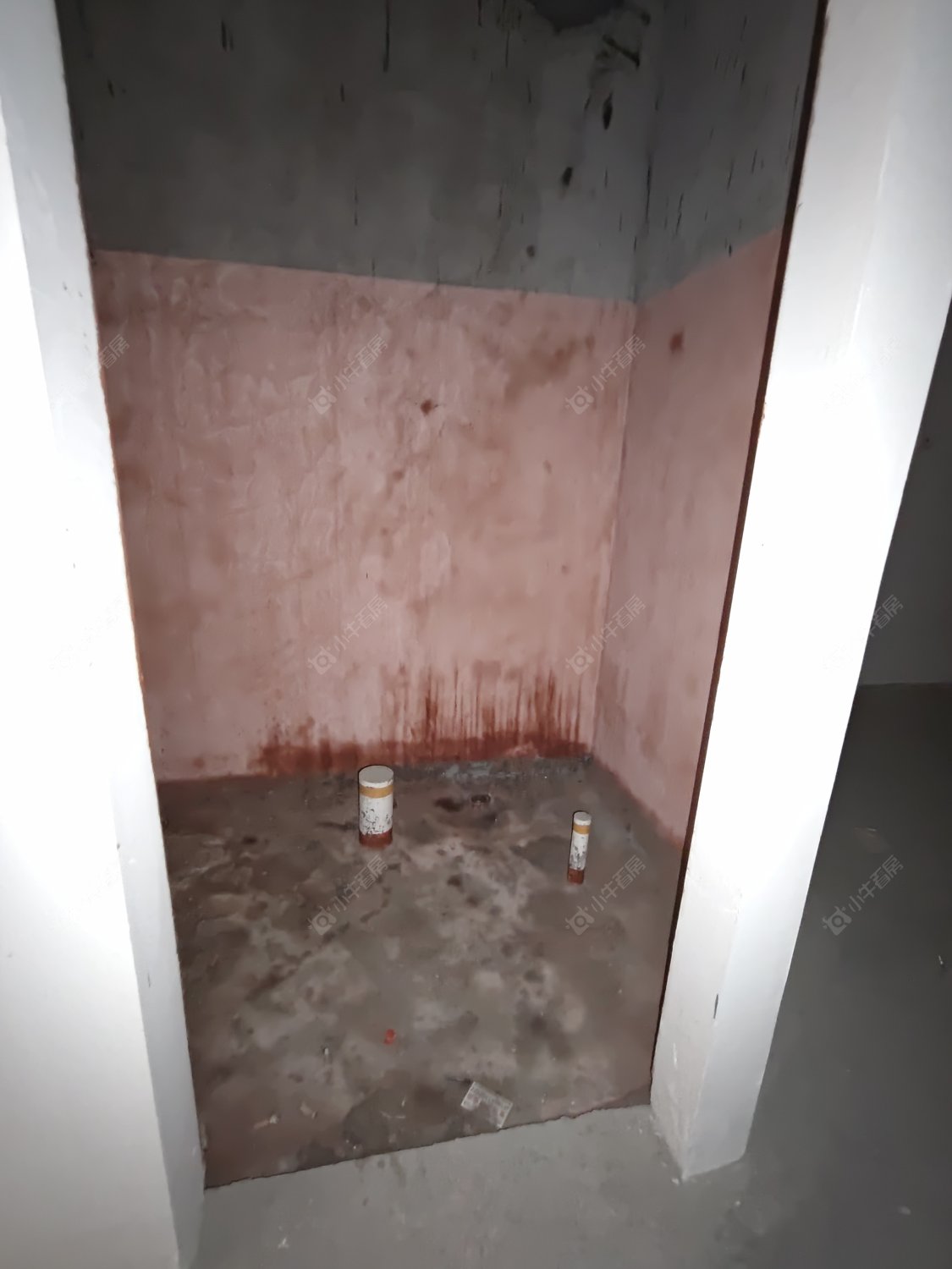 常州碧桂园金科光明府在租房源_小牛看房