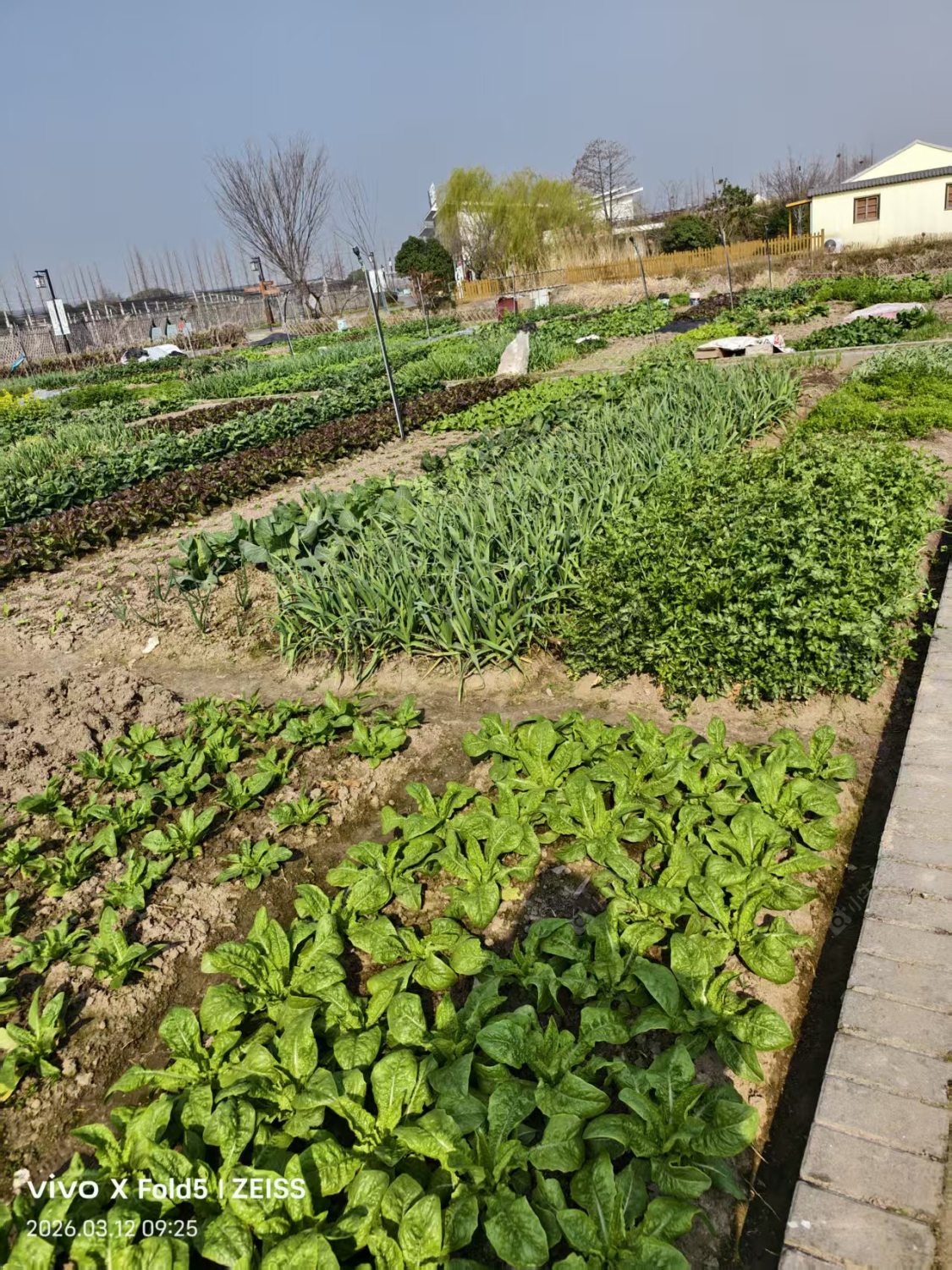 常州奔牛镇东桥村在租房源_小牛看房