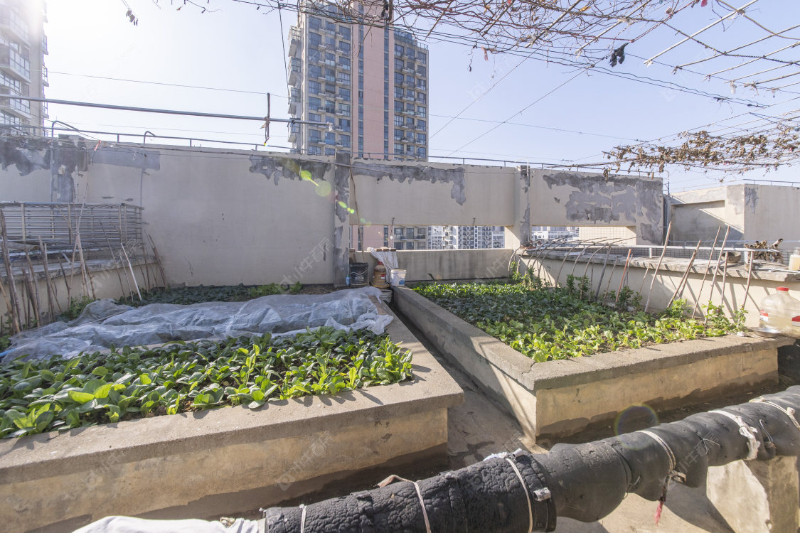 随园锦湖公寓房源小区图 常州随园锦湖公寓在售二手房源小区图_小牛看房