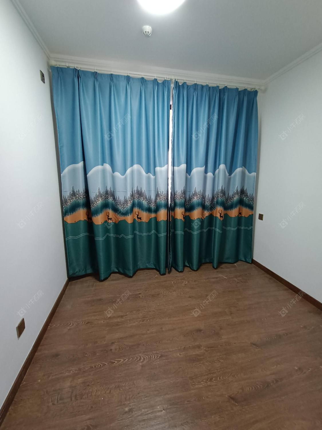 常州碧桂园碧玥和鸣在租房源室内图_小牛看房