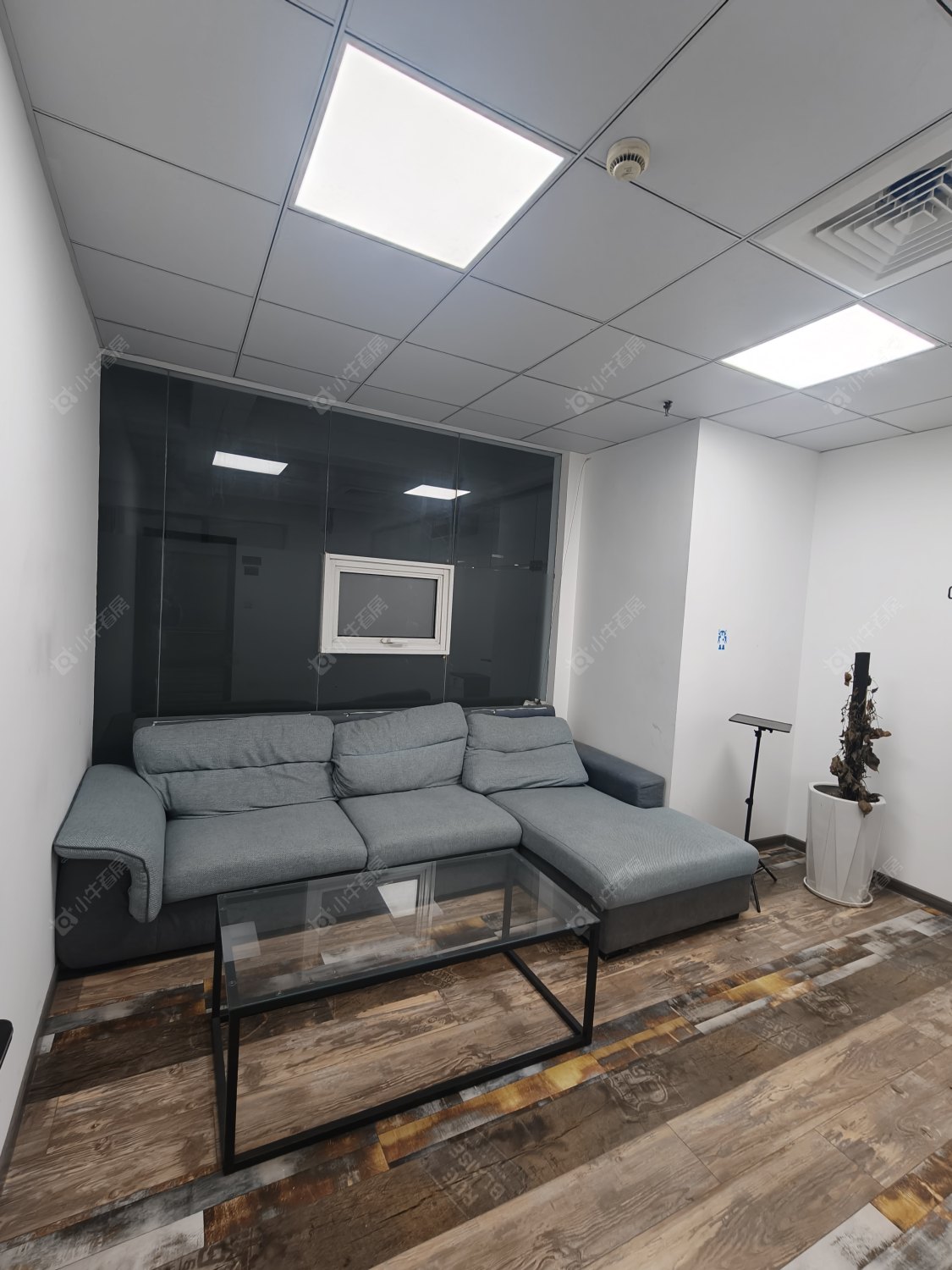 常州九洲环宇在租房源室内图_小牛看房