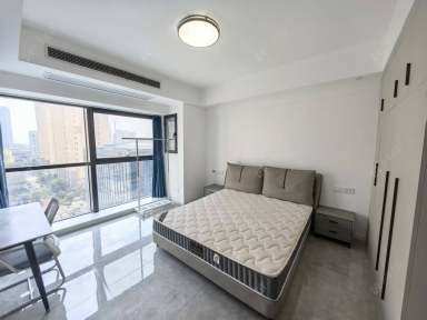 常州青阳城市广场壹号公寓1室1厅1卫出租房源图片