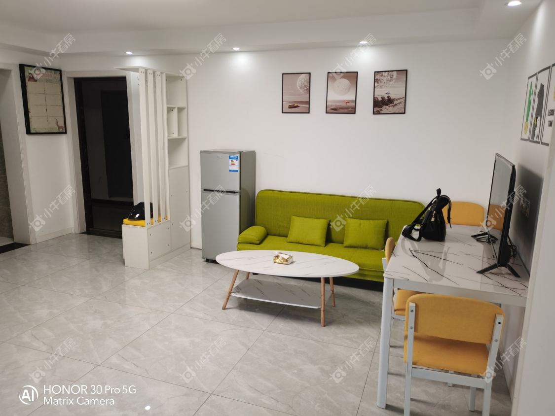 常州高成天鹅湖（公寓）租房_小牛看房