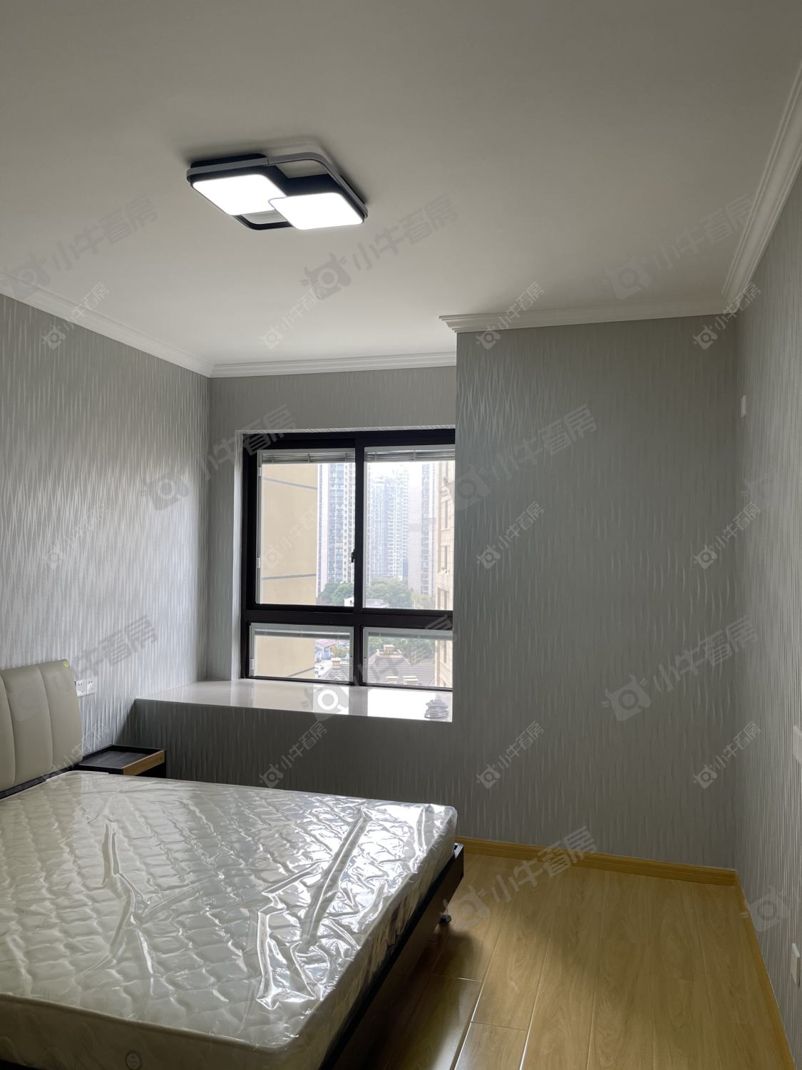 常州金新鼎邦在租房源_小牛看房