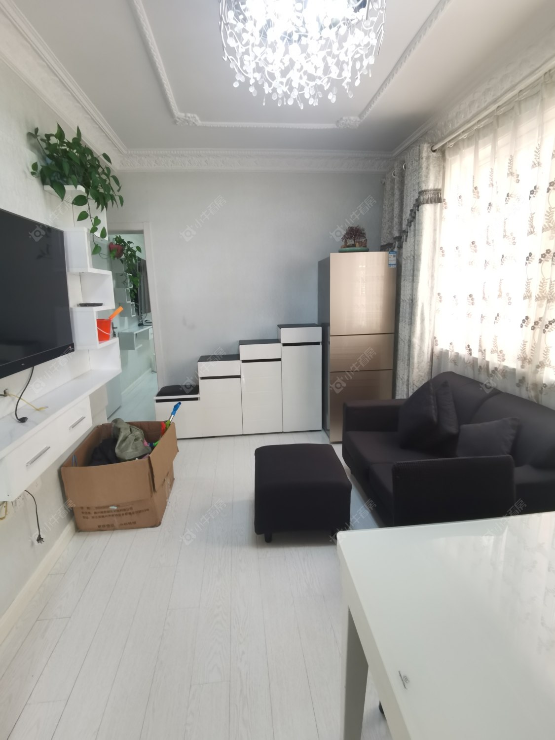 常州工人新村北在租房源_小牛看房