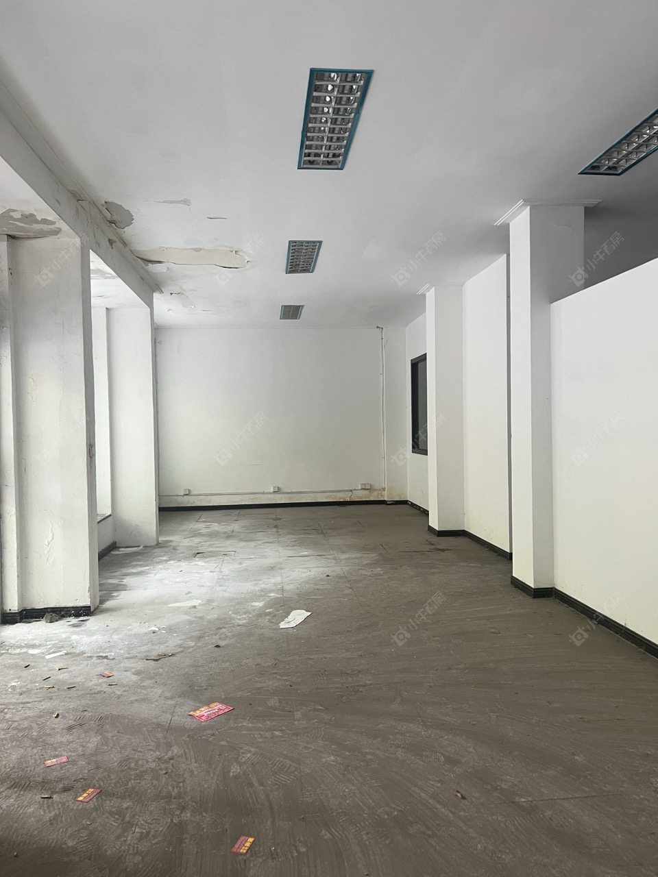 常州博爱路在租房源室内图_小牛看房