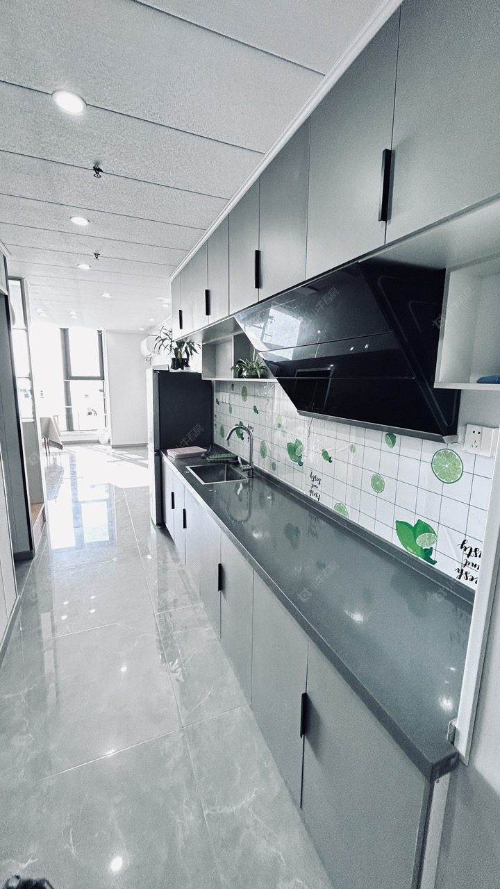 常州龙湖星图在租房源室内图_小牛看房