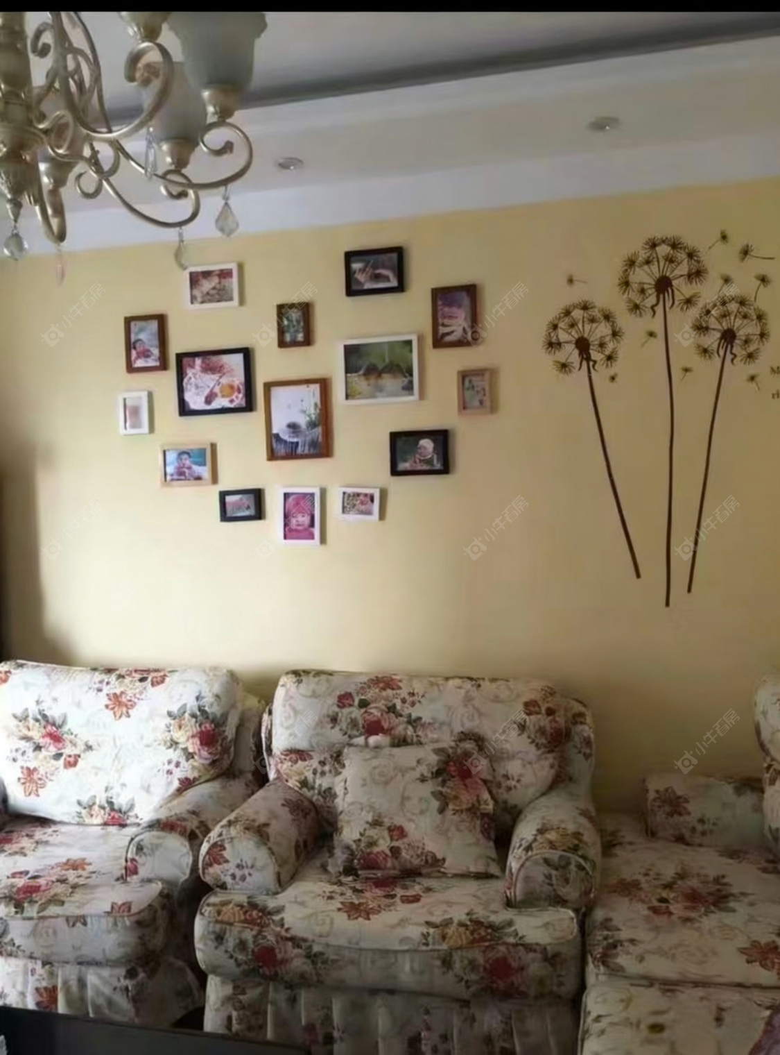 常州九洲新世界花苑在租房源_小牛看房