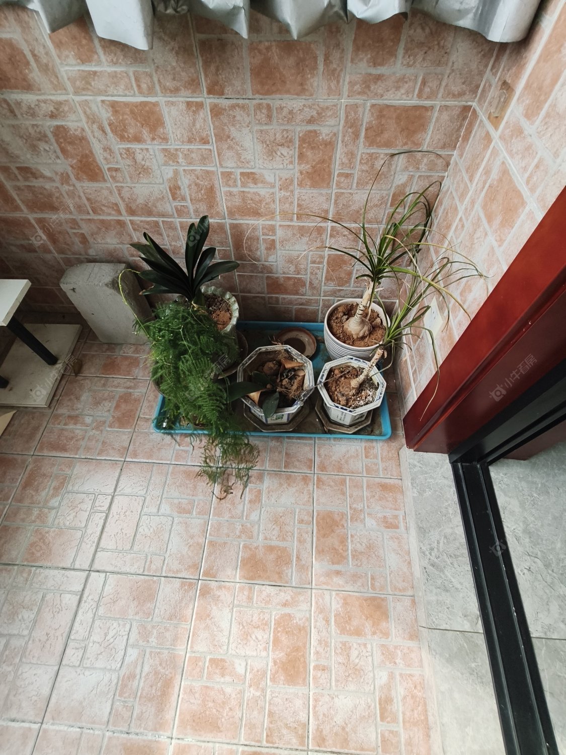 常州广润大厦在租房源_小牛看房