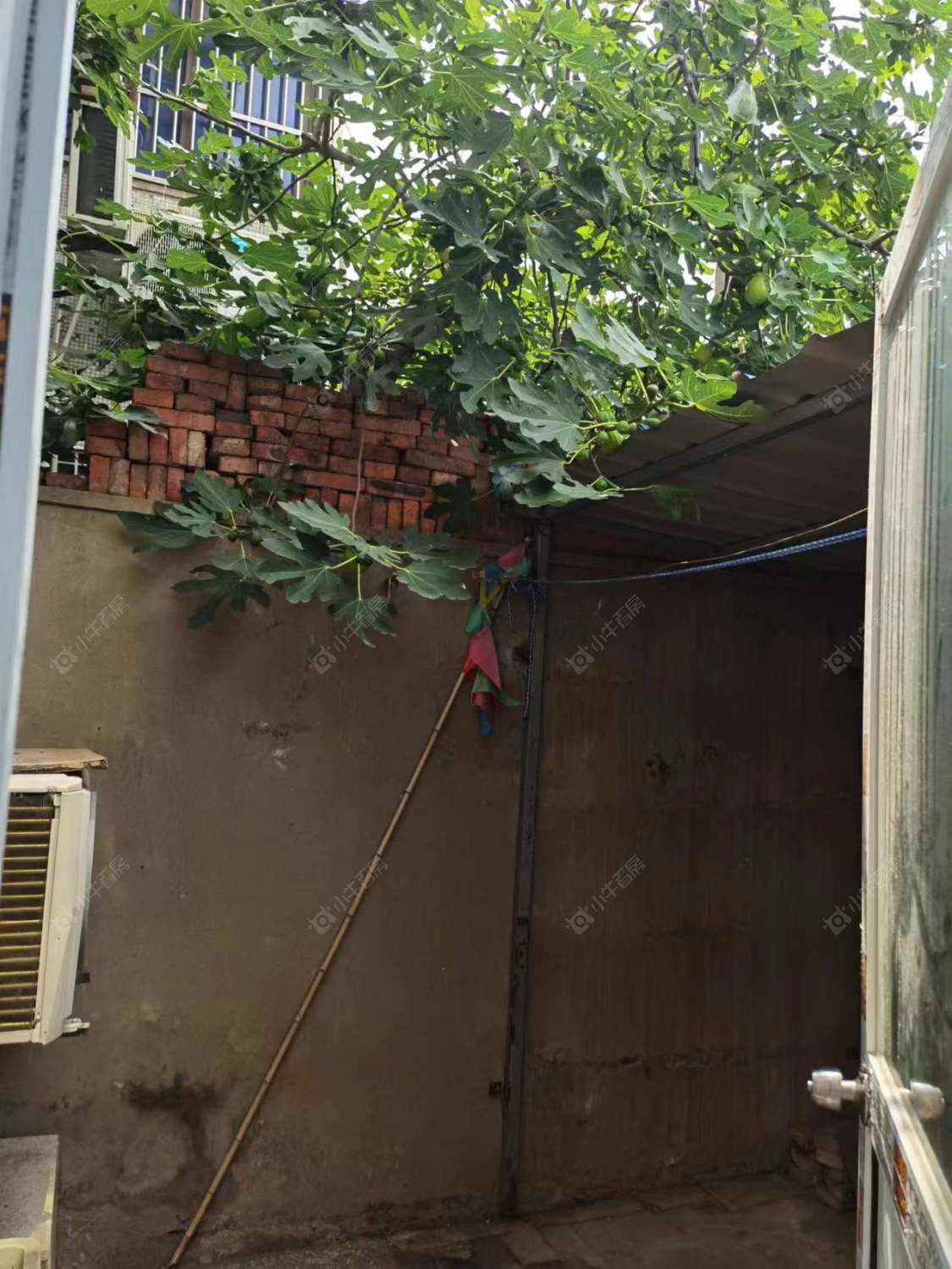 常州富强新村在租房源_小牛看房
