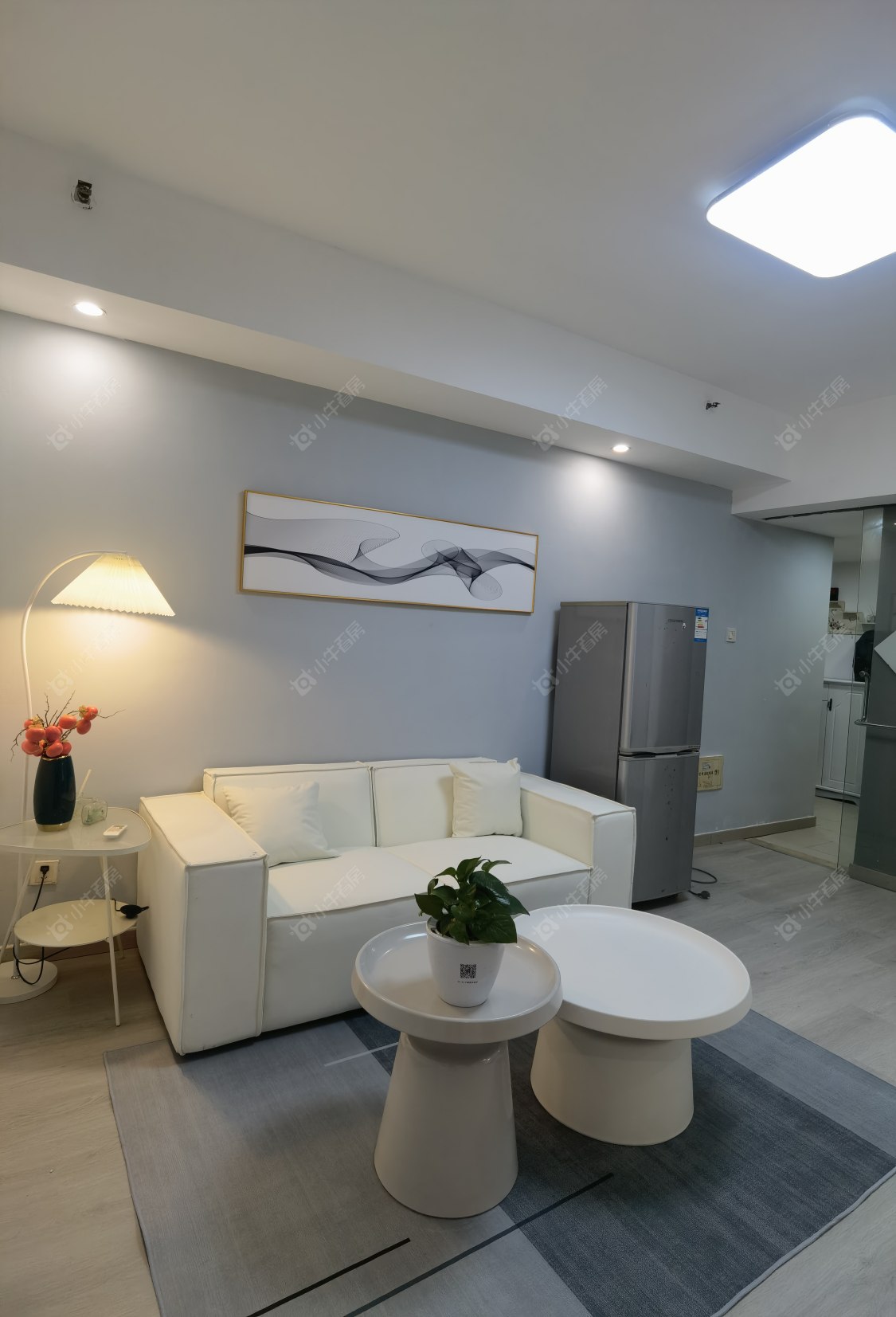 常州莱蒙双子星座公寓在租房源室内图_小牛看房