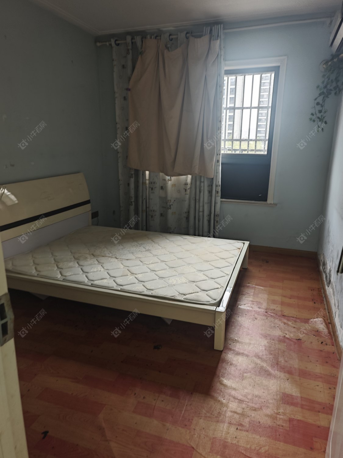 常州怡美花园在租房源室内图_小牛看房