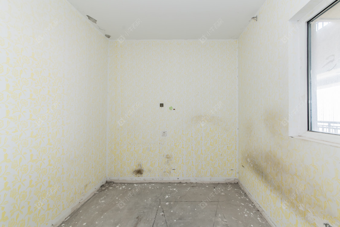 常州碧桂园华星·世纪学府在售二手房源室内图_小牛看房