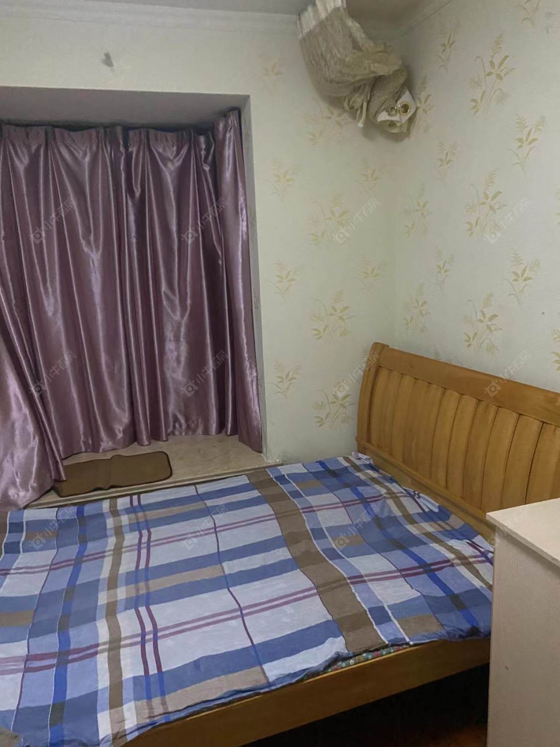 常州新城南都花海在租房源_小牛看房