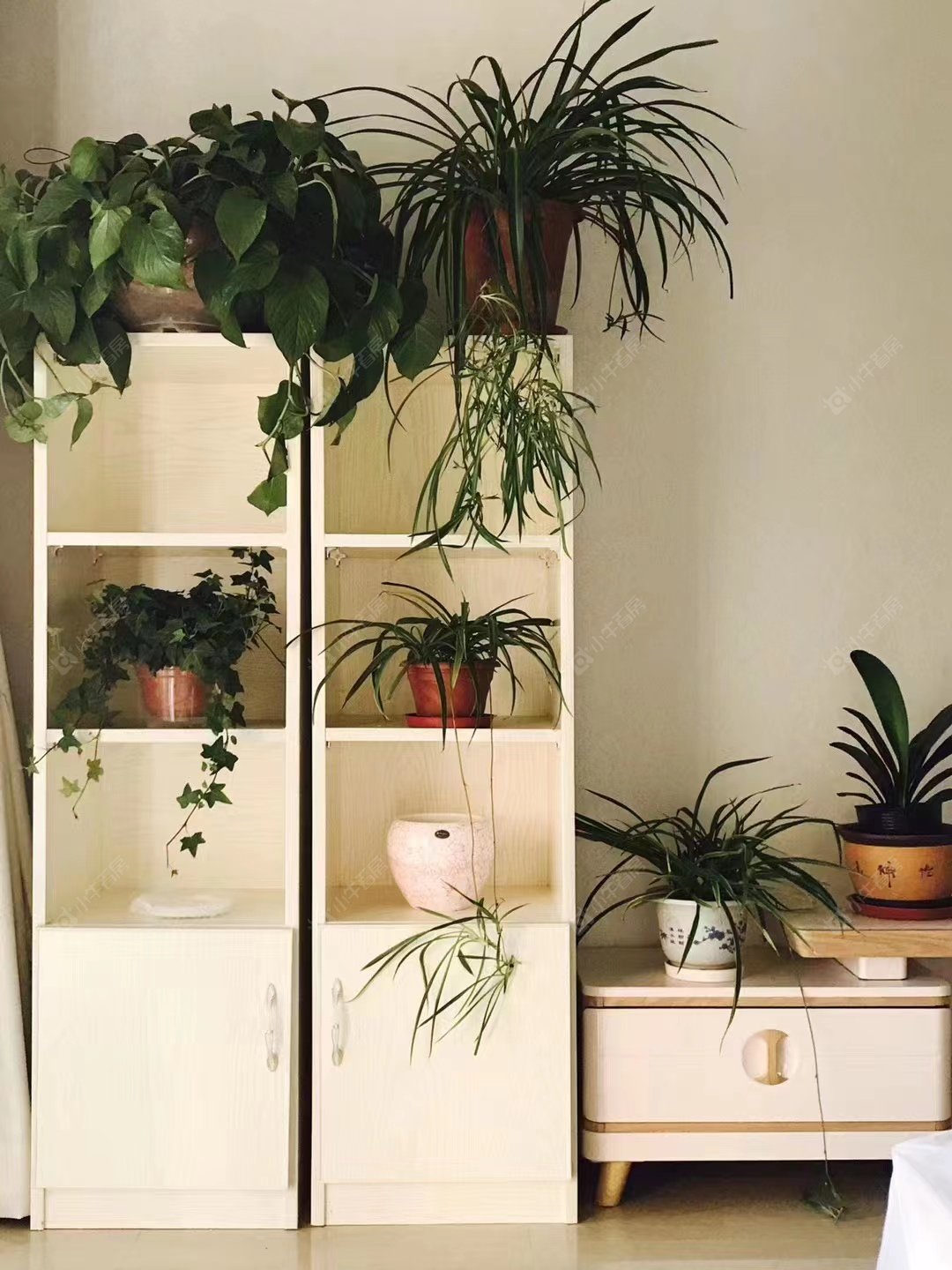 常州九洲花园三期在租房源_小牛看房