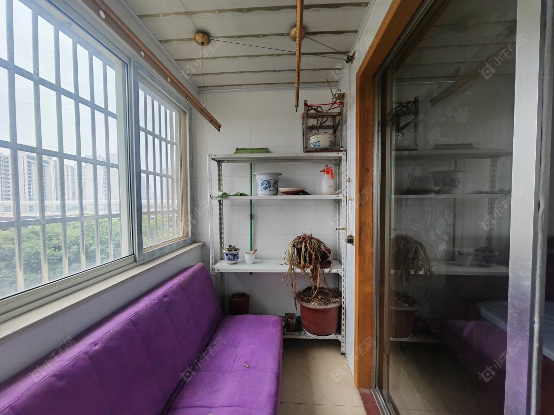 常州新丰苑在租房源_小牛看房