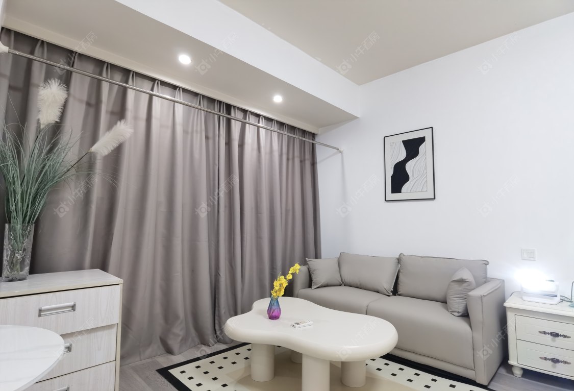 常州莱蒙双子星座公寓在租房源室内图_小牛看房