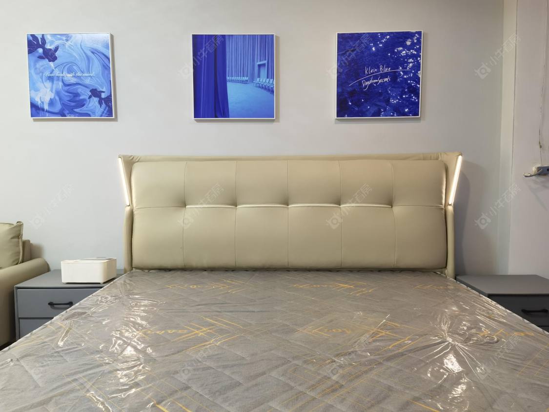 常州莱蒙双子星座公寓在租房源室内图_小牛看房