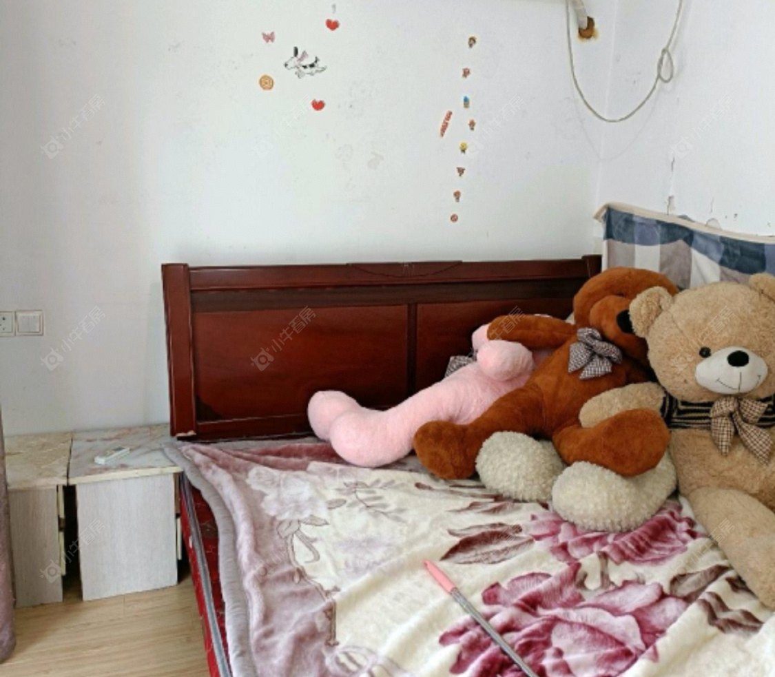 常州九洲新世界花苑在租房源_小牛看房