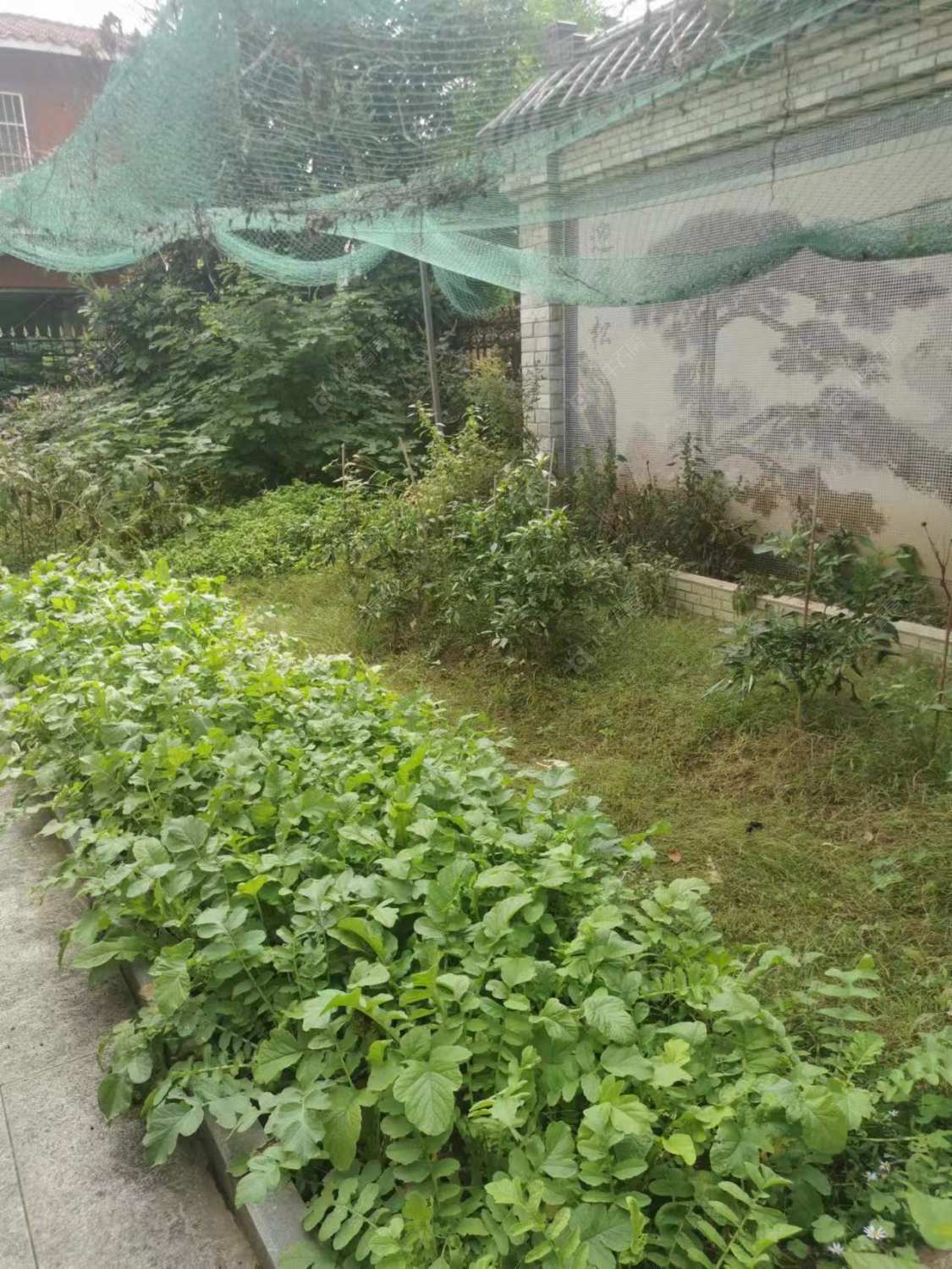 常州阳光花园(新北)别墅区租房_阳光花园(新北)别墅区5室3厅房源出租