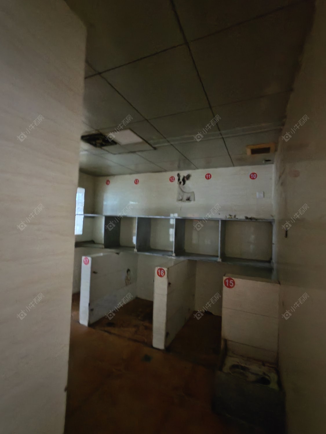 常州怀南苑在租房源_小牛看房