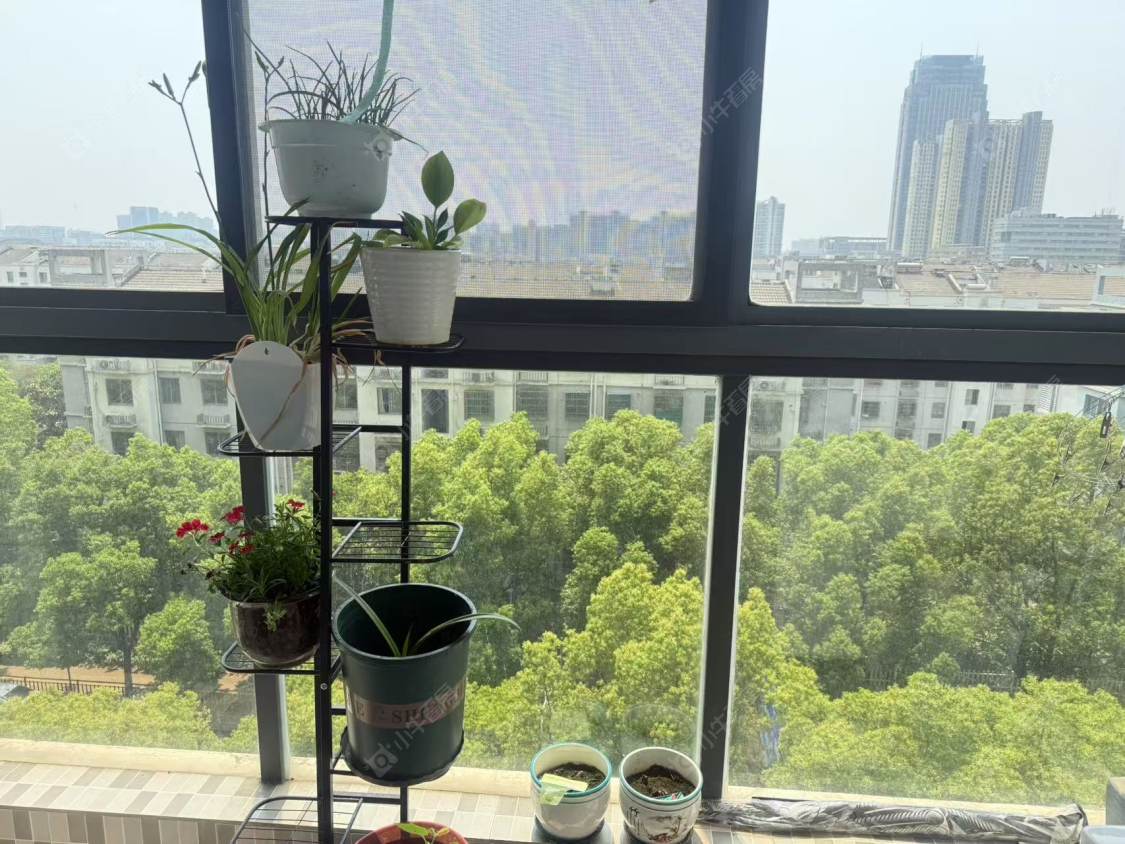 常州常发嘉园租房_常发嘉园2室2厅房源出租