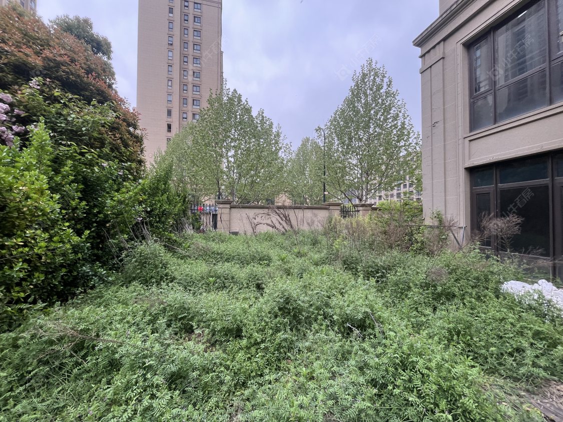 常州玉兰广场四期在租房源_小牛看房