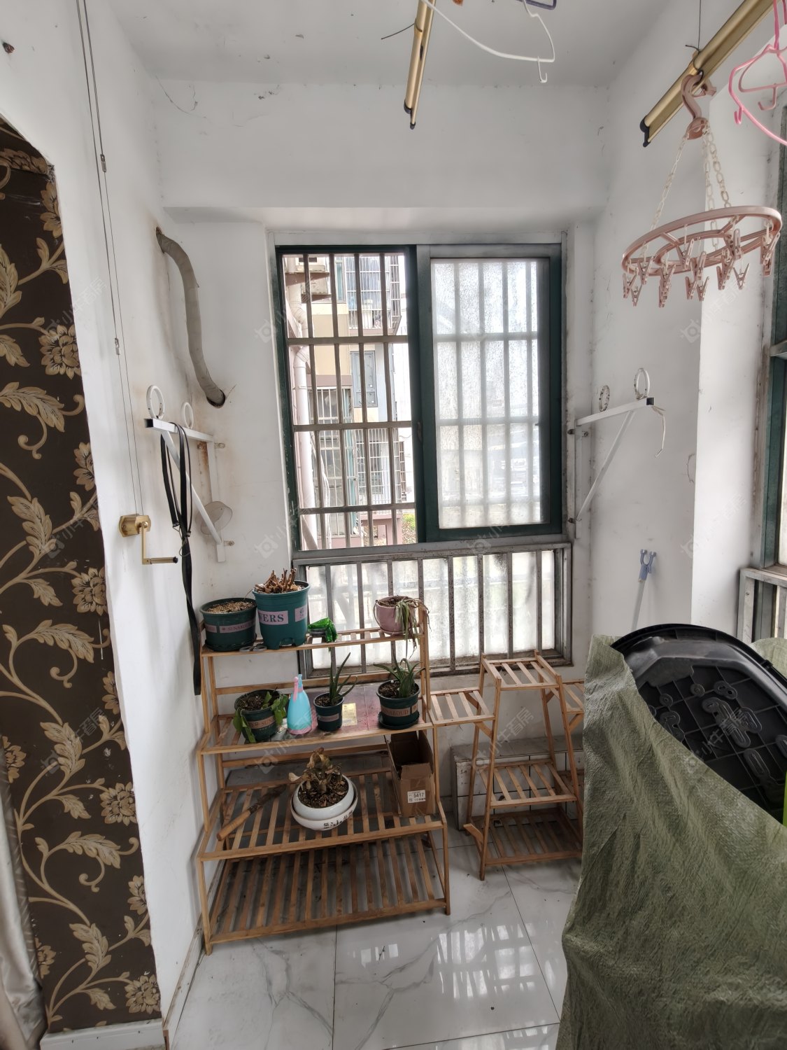 常州青洋花苑在租房源室内图_小牛看房