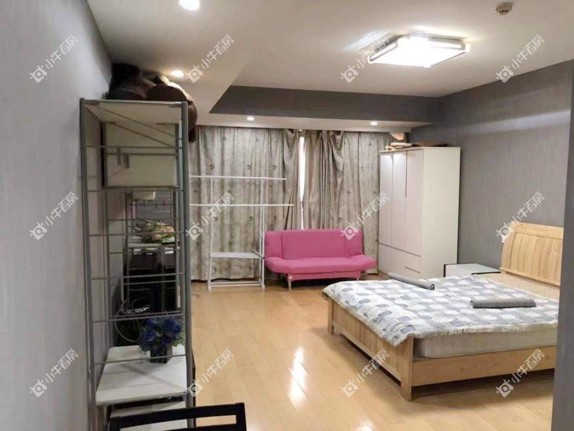 常州莱蒙双子星座公寓在租房源室内图_小牛看房