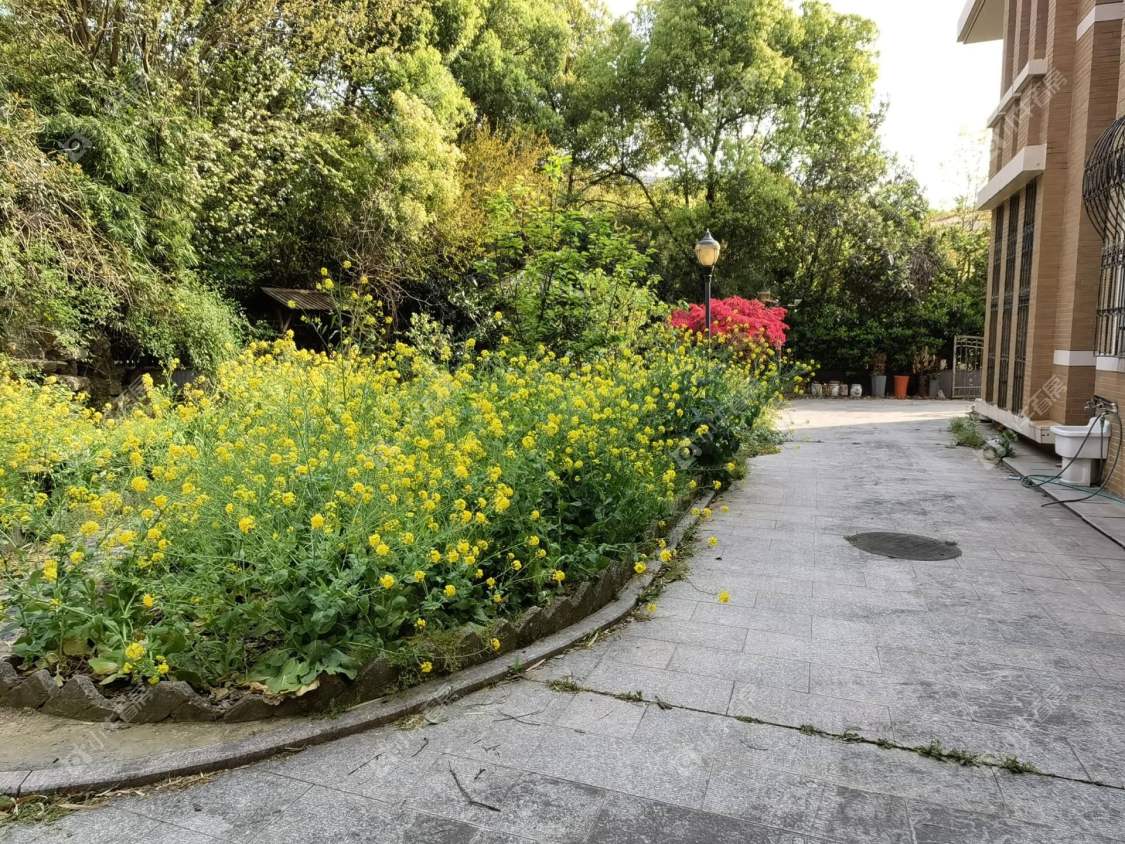 常州香江华廷花园在租房源_小牛看房