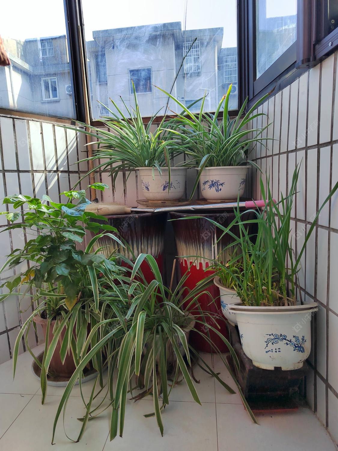 常州翠竹新村南区在租房源室内图_小牛看房