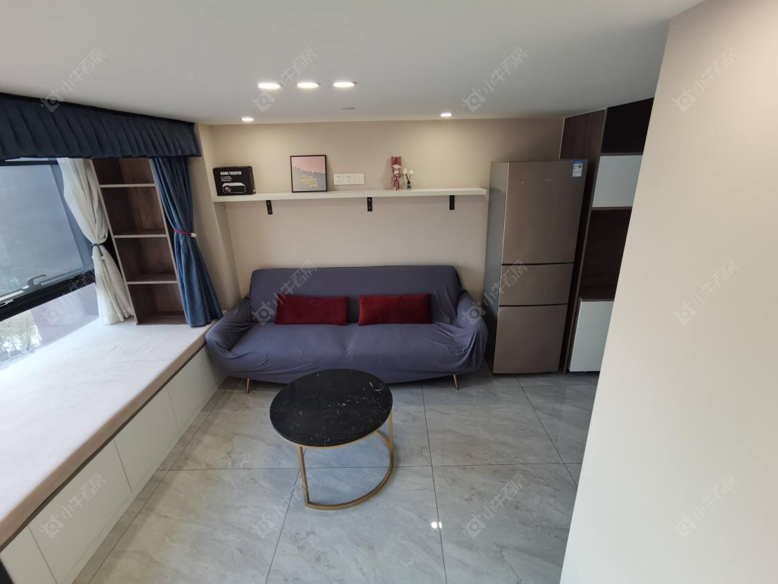 常州龙洲伊都公寓在租房源室内图_小牛看房