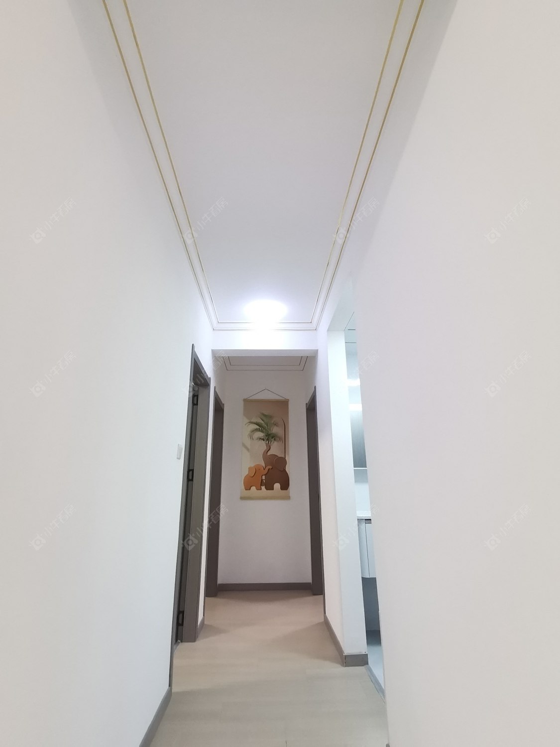 常州龙控公园道在租房源_小牛看房