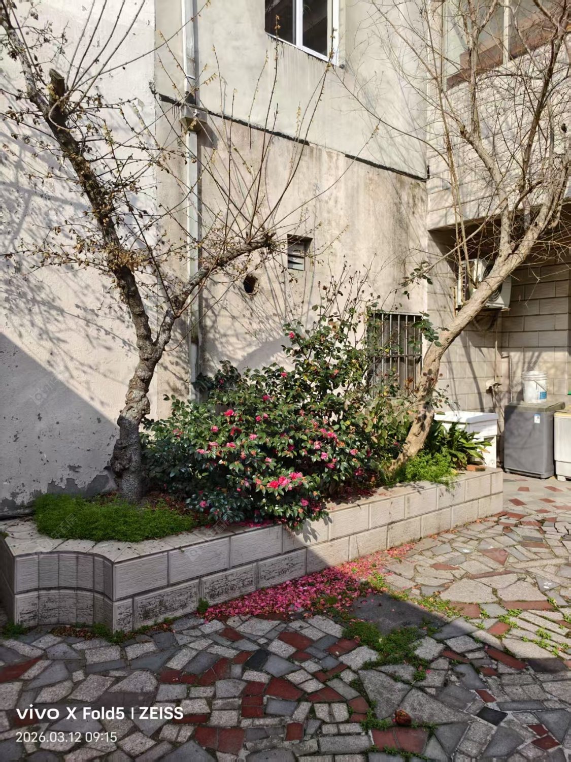 常州奔牛镇东桥村在租房源_小牛看房