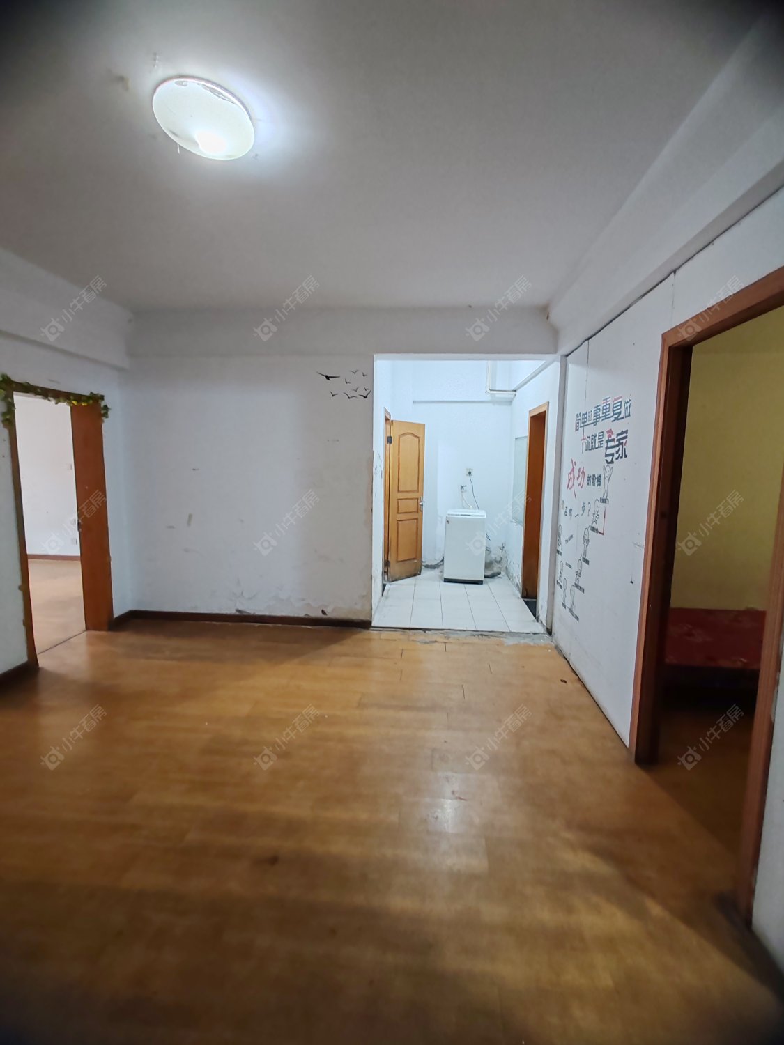 常州关河西路在租房源_小牛看房