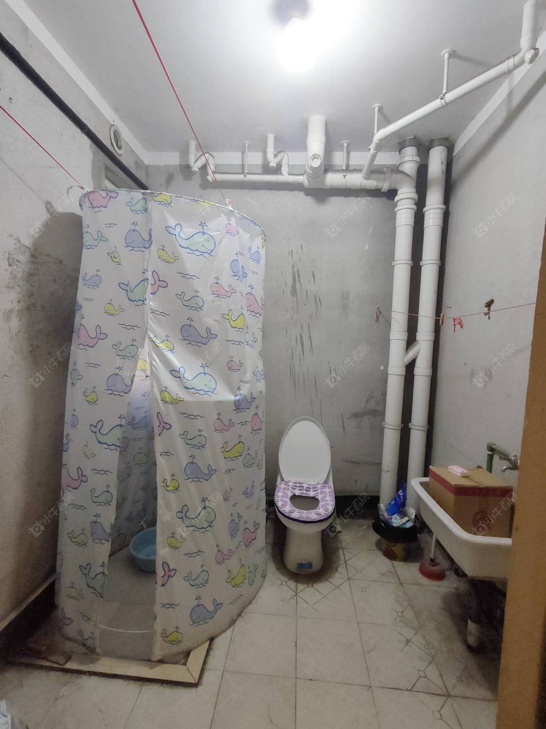 常州新景花苑一期在租房源户型图_小牛看房