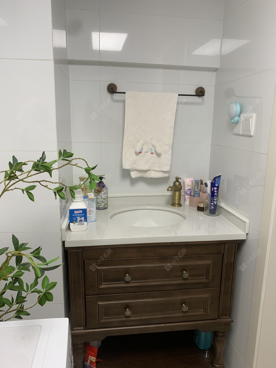 常州琅越龙洲在租房源_小牛看房