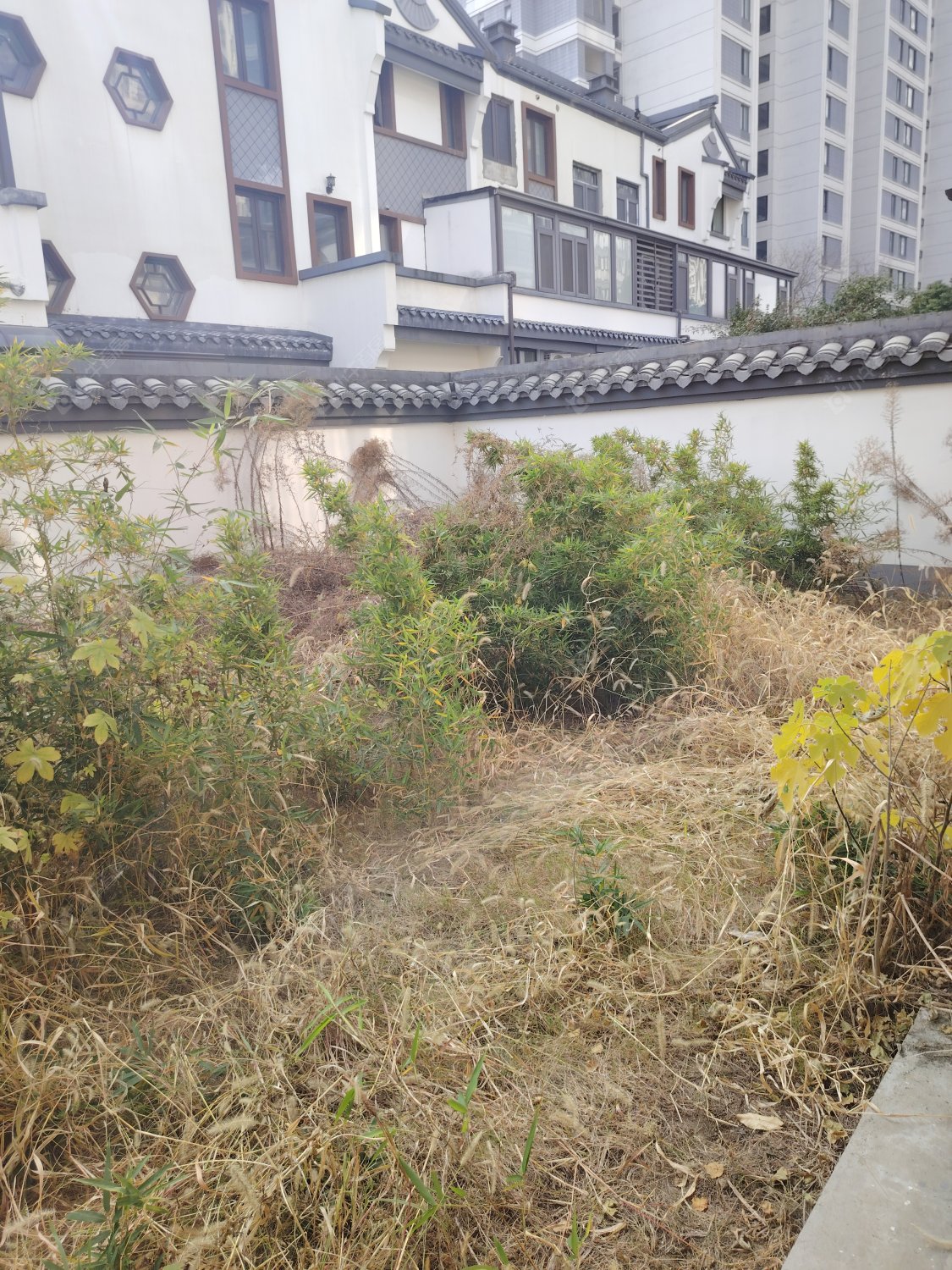 常州新城锦域在租房源室内图_小牛看房