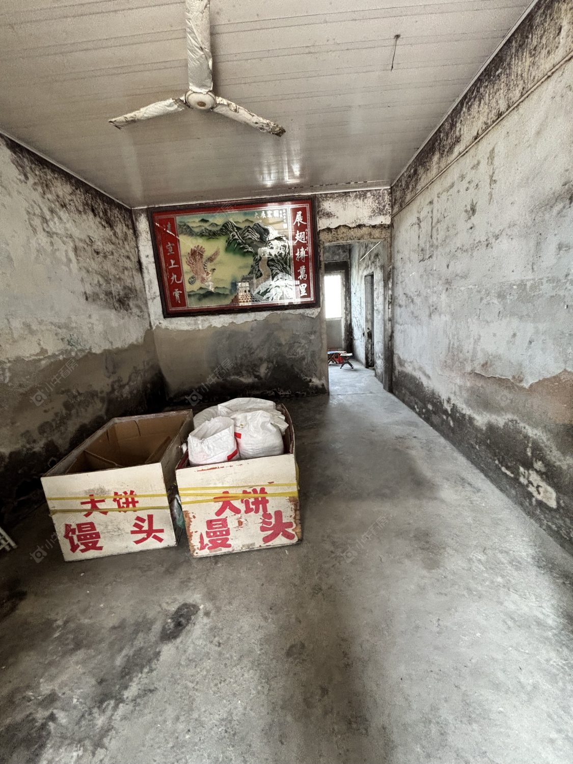 常州东方村委（遥观）在租房源室内图_小牛看房