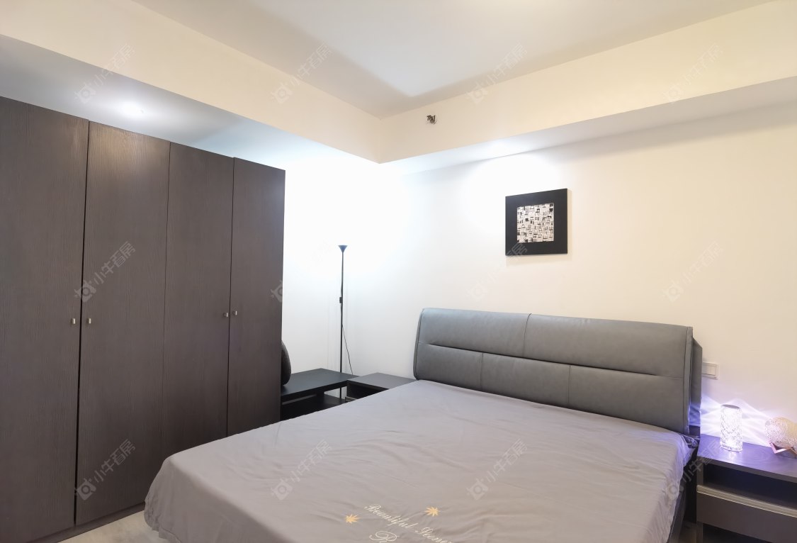 常州莱蒙双子星座公寓在租房源室内图_小牛看房