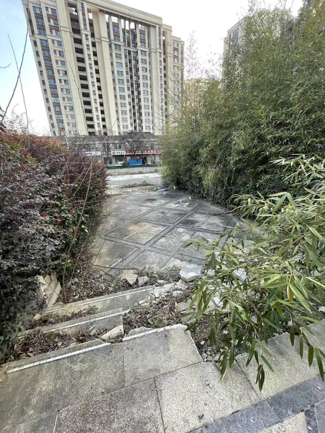 常州雅居乐凤凰台在租房源室内图_小牛看房