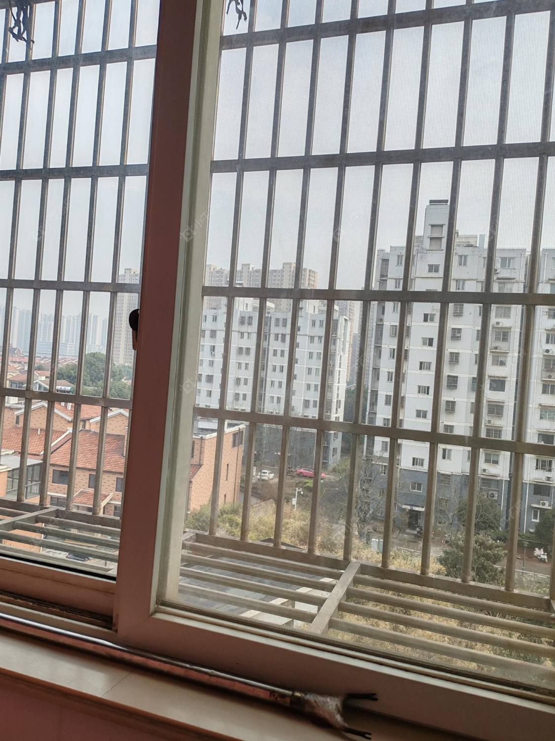 常州龙栖花园在租房源室内图_小牛看房