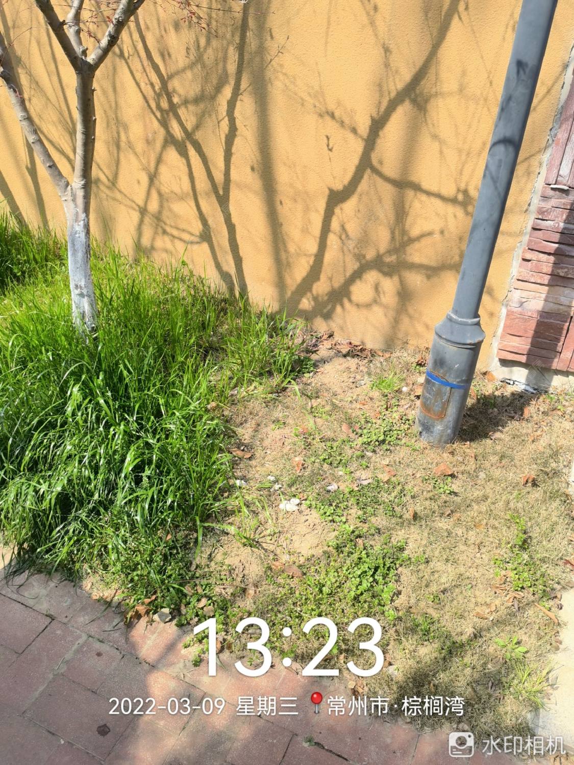 常州长宇棕榈湾别墅区租房_长宇棕榈湾别墅区4室2厅房源出租