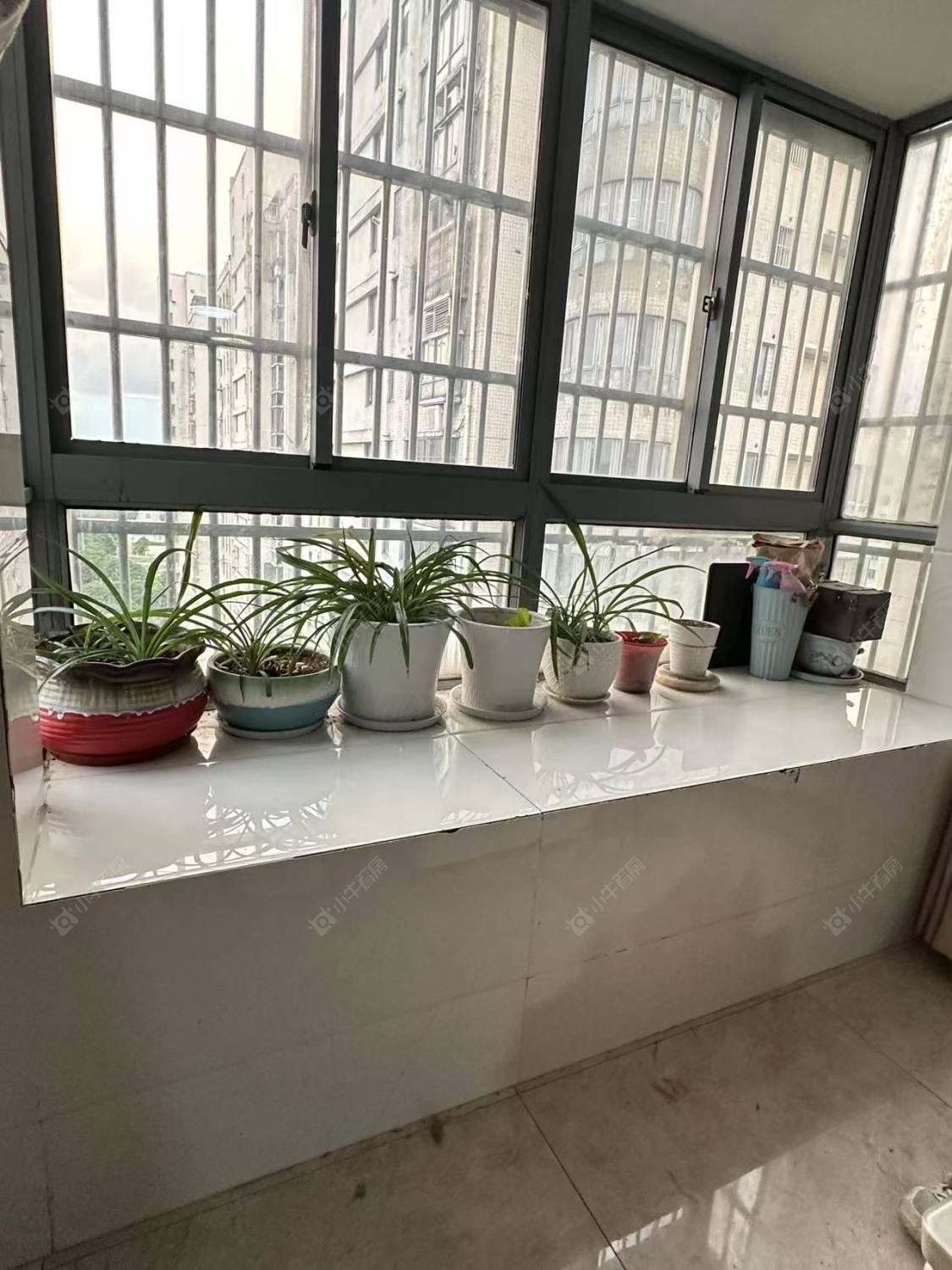 常州滨江明珠城东区租房_滨江明珠城东区4室2厅房源出租