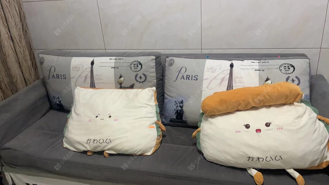 常州潞城花苑在租房源_小牛看房