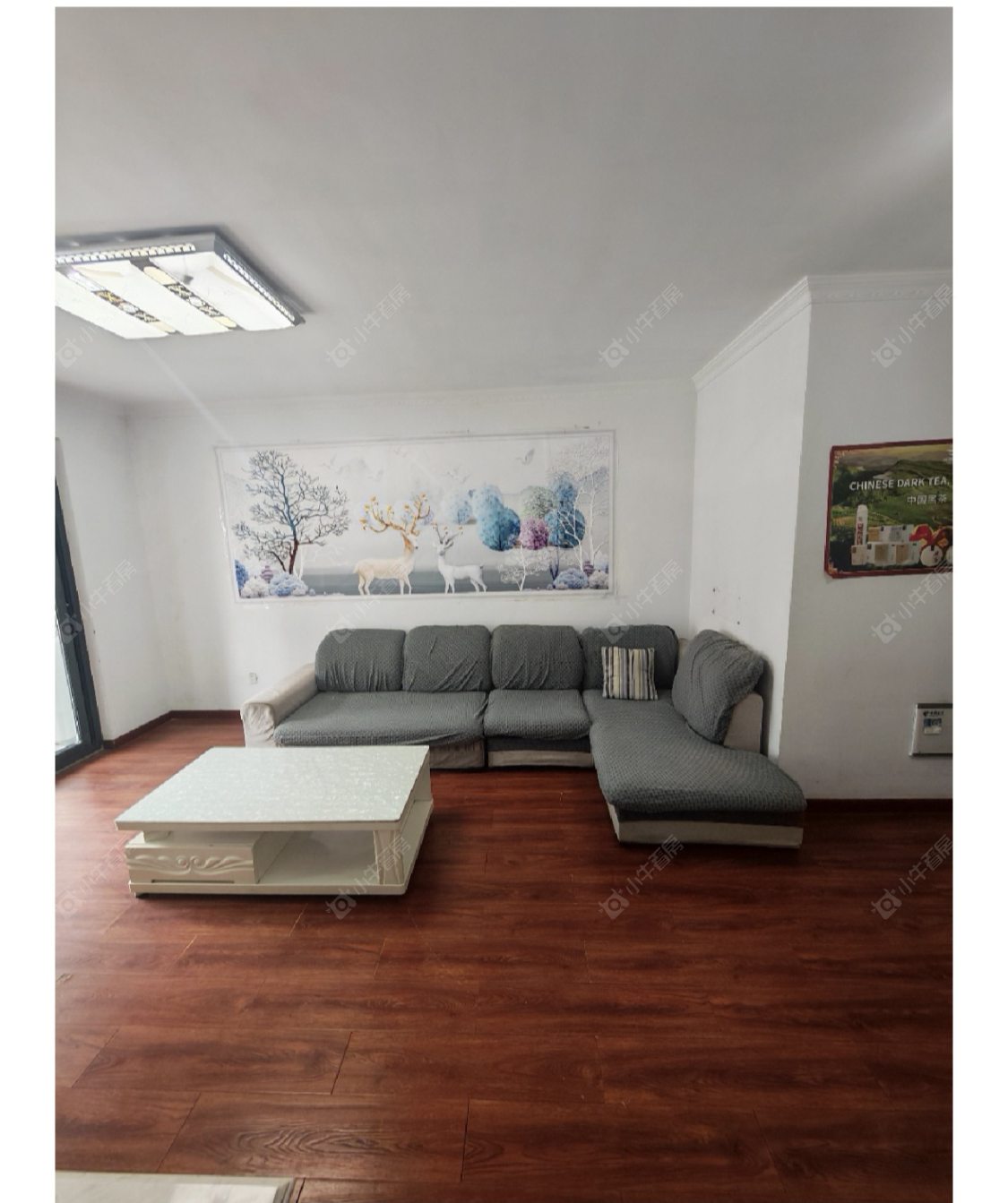 常州高成天鹅湖在租房源室内图_小牛看房