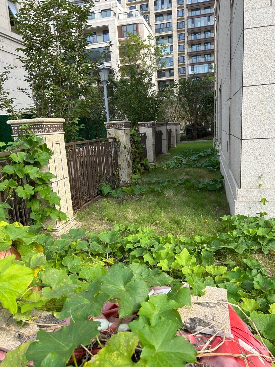 常州牡丹三江公馆租房_牡丹三江公馆4室2厅房源出租